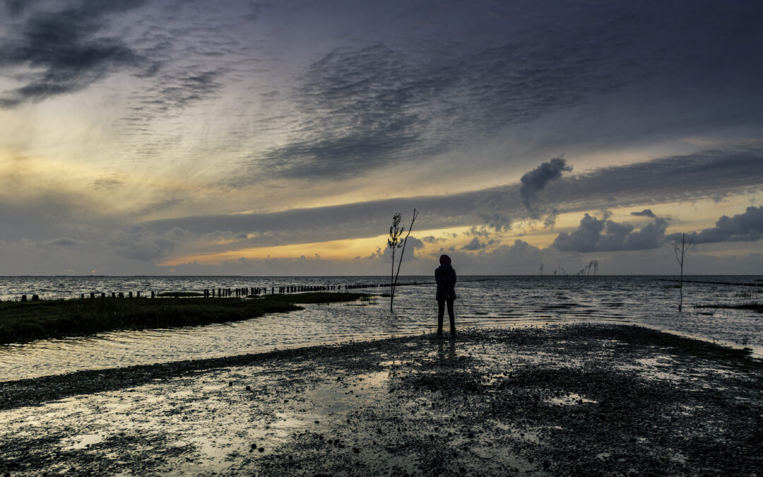 Visit RibeEsbjerg guide 2020