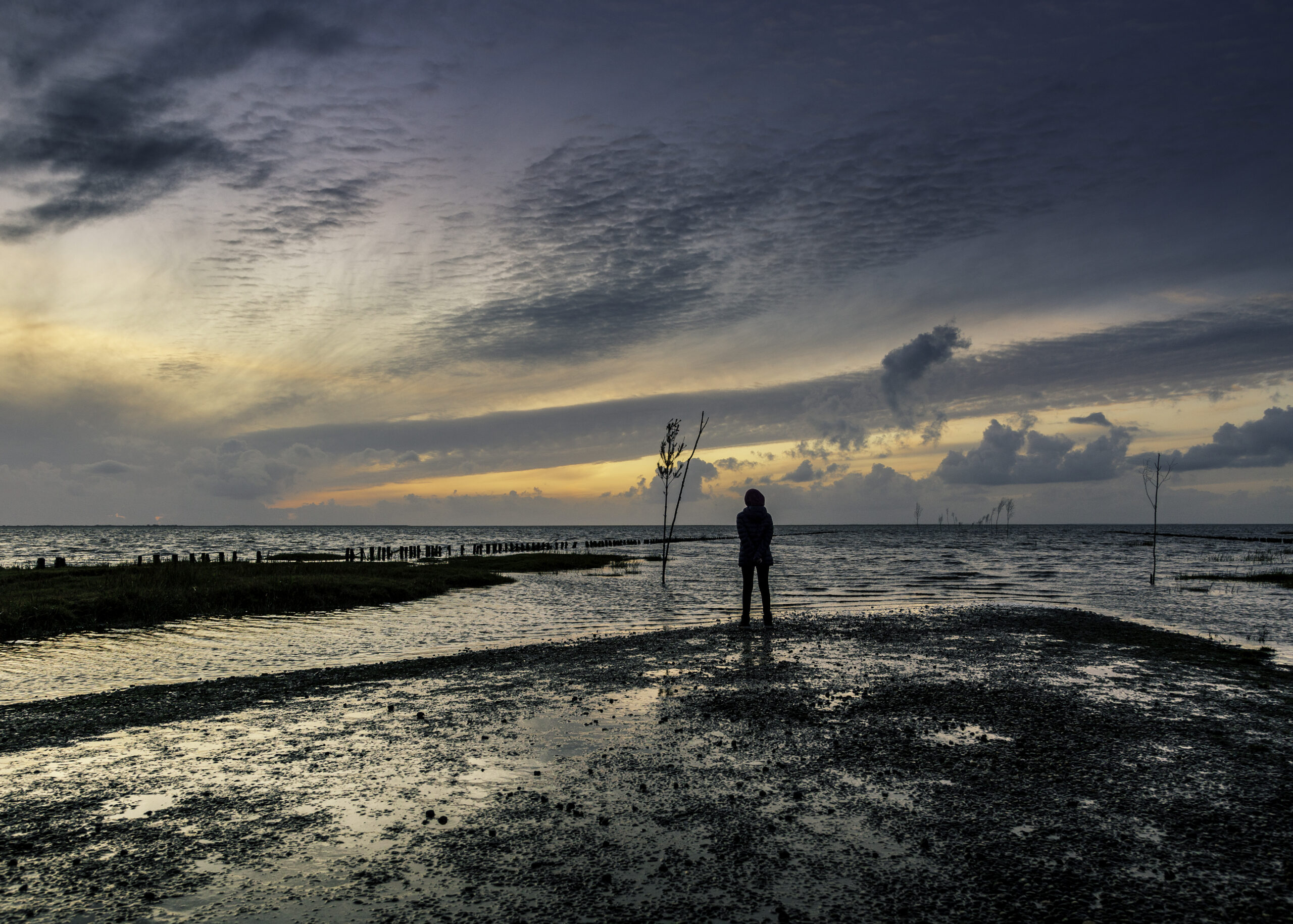 Visit RibeEsbjerg guide 2020