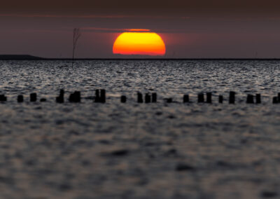 Vadehavet Mandø Ebbevej