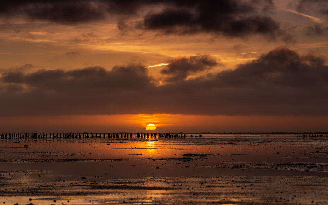Vinder Nationalpark Vadehavet fotokonkurrence