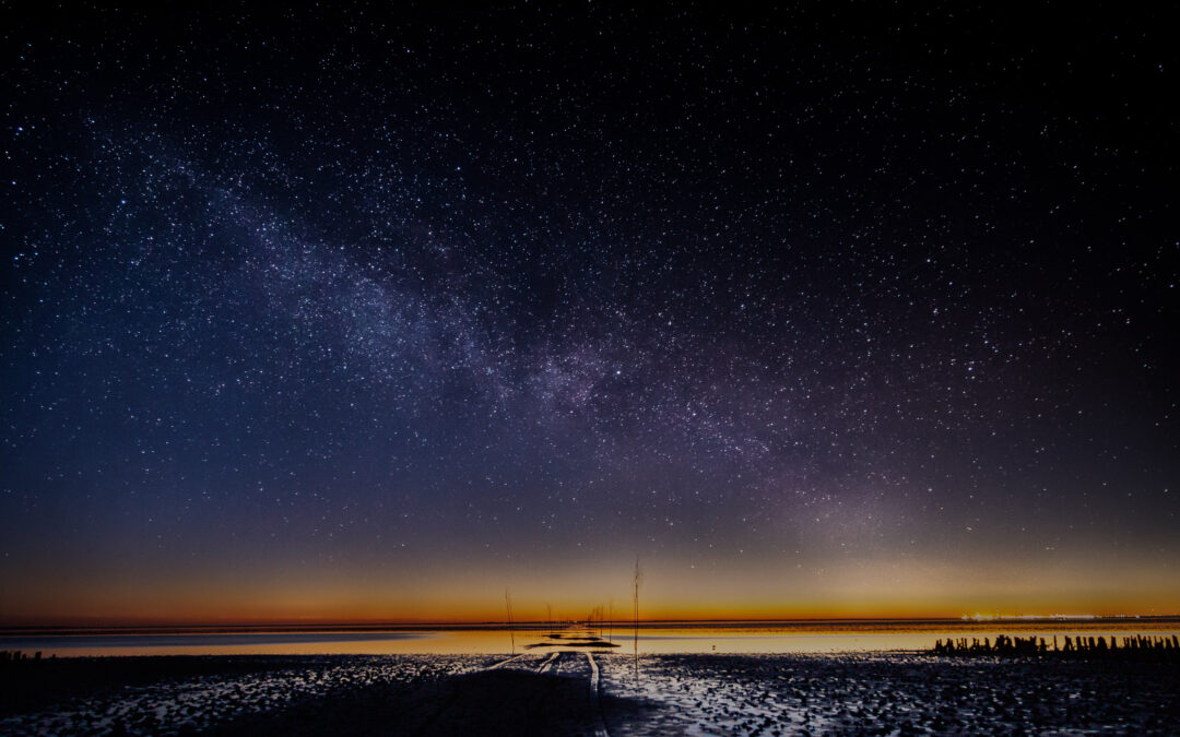 Dark Sky Park Mandø projekt