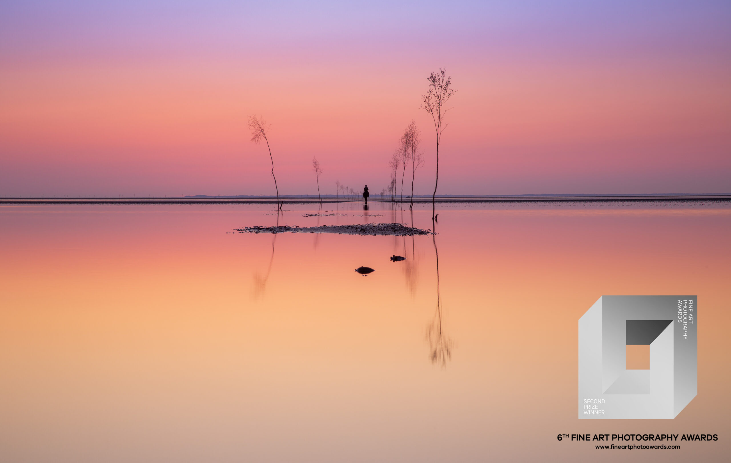 Fine Art Photography Awards