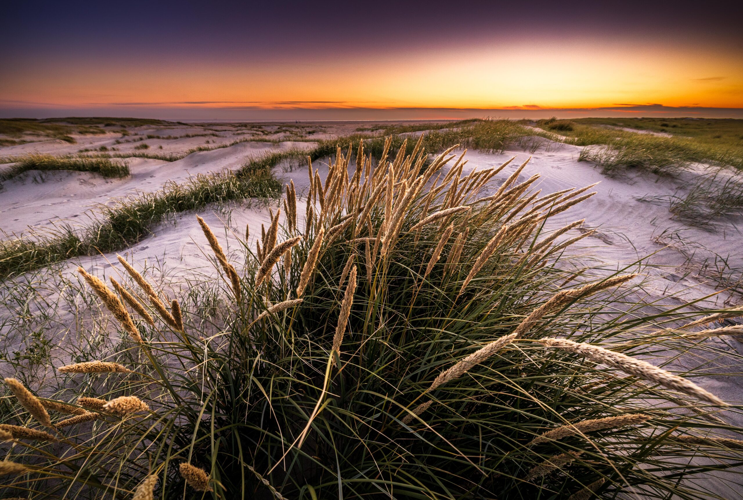 Fanø Vadehavet