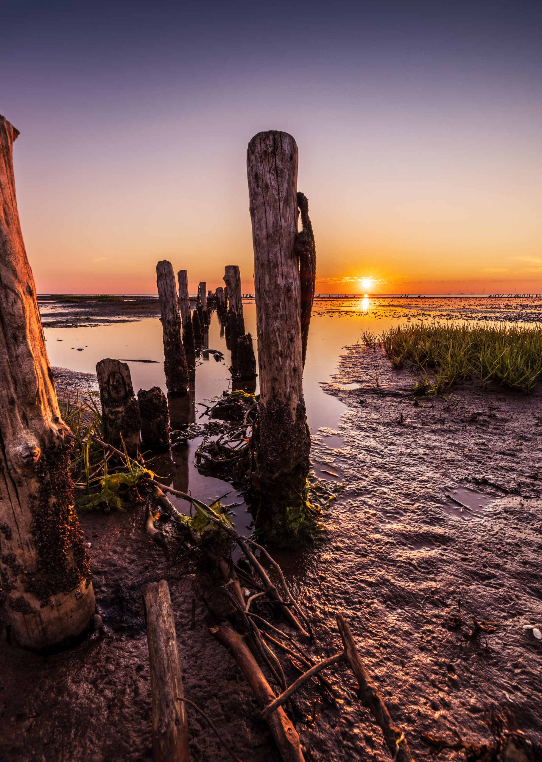 Galleri Vadehavet i Ribe