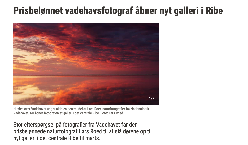 Prisbelønnet vadehavsfotograf åbner nyt galleri i Ribe