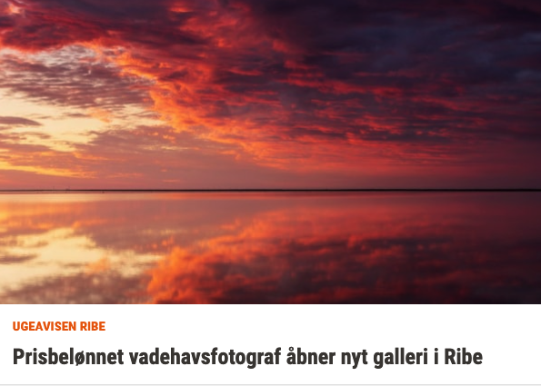 Ribe Ugeavisen Galleri Vadehavet