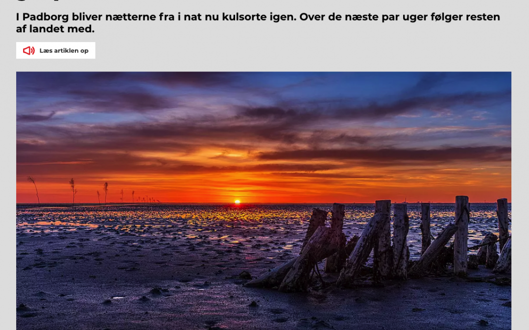 TV SYD artikel