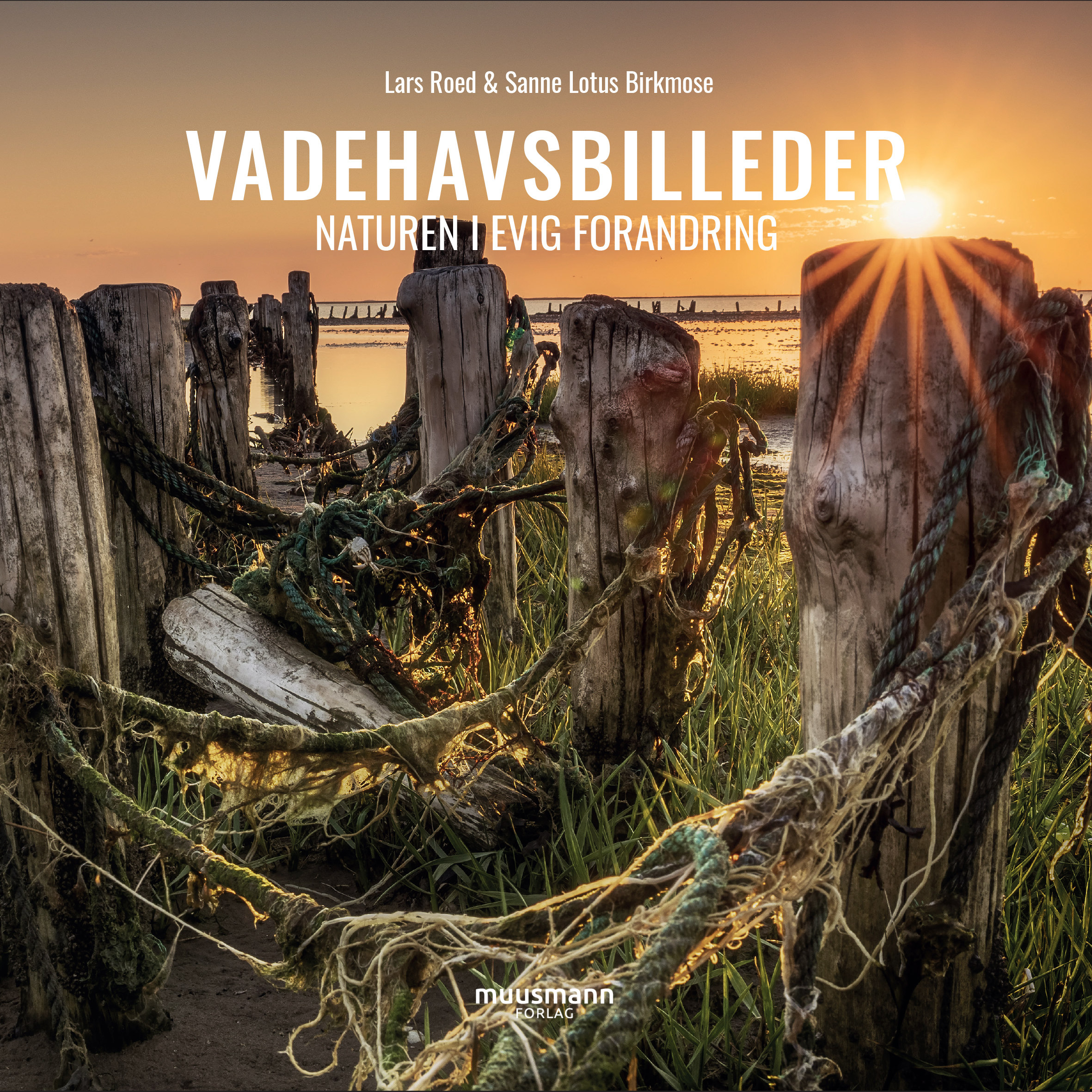 Muusmann Vadehavsbilleder