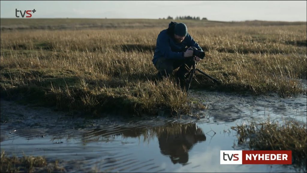TV SYD Vadehavet