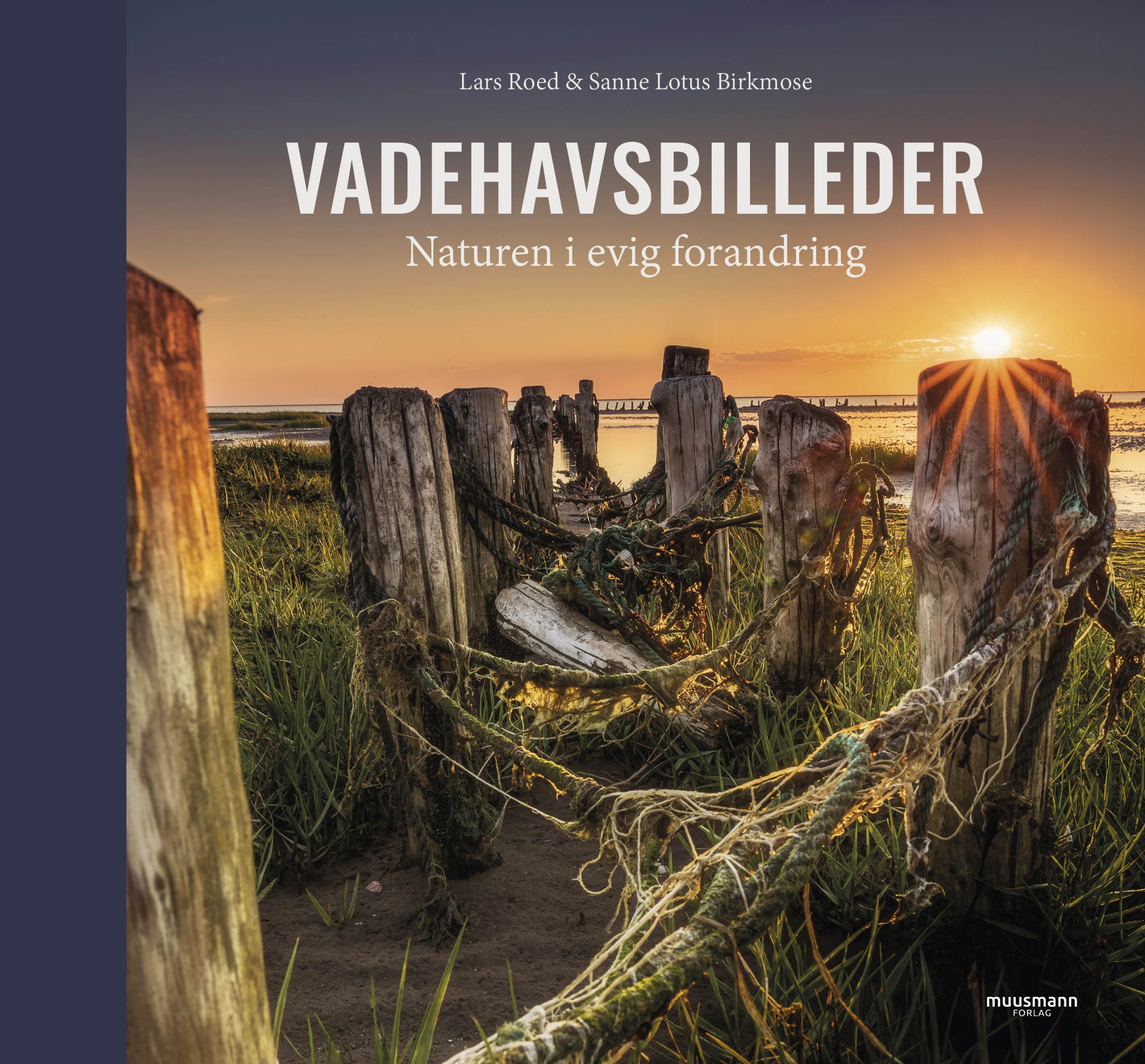 Vadehavsbilleder bogen