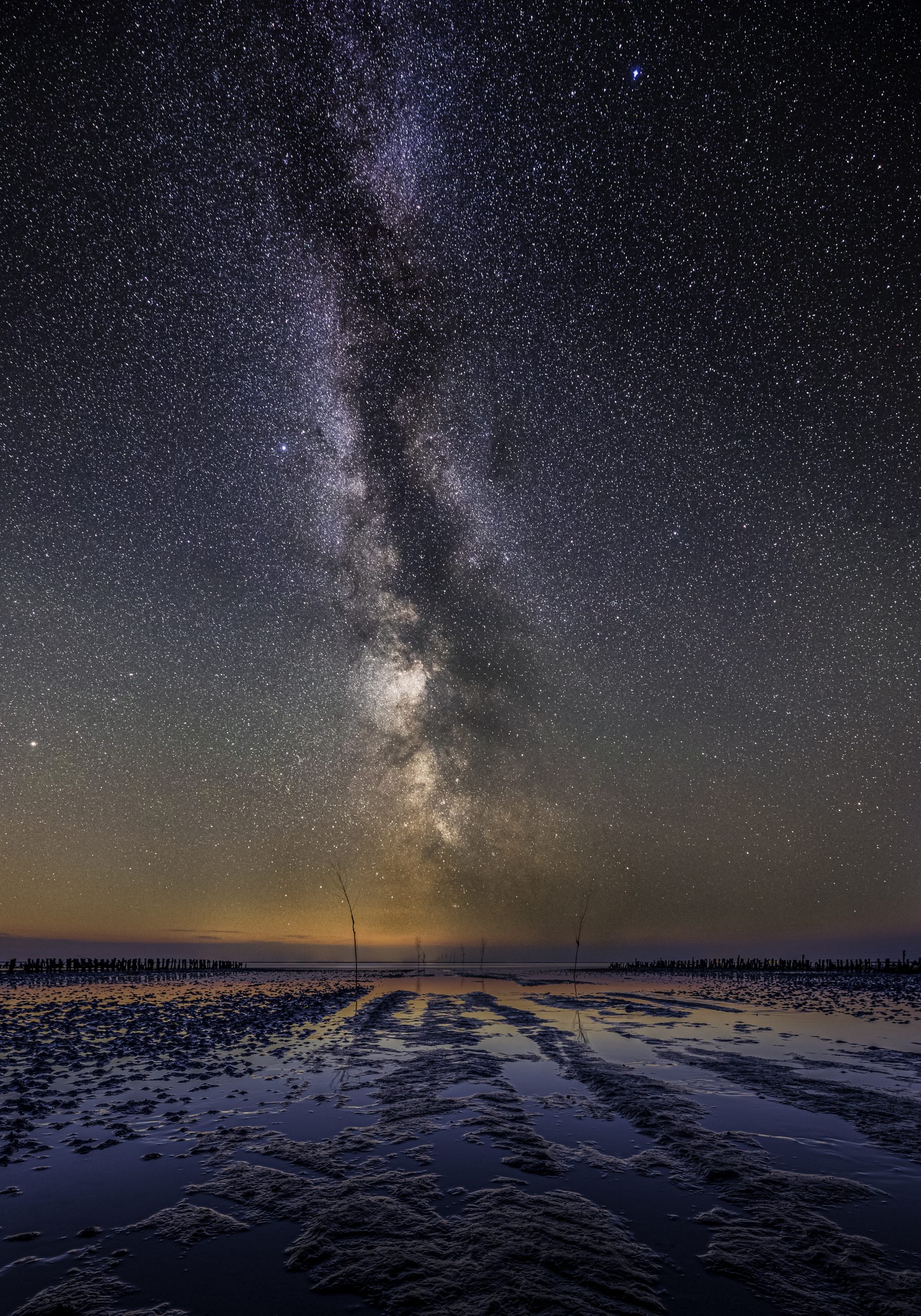Årets foto i Natur og Dyr - vandt Guld