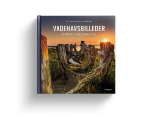 Vadehavsbilleder
