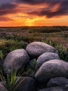 Låningsvejen i Nationalparkvadehavet Lars Roed