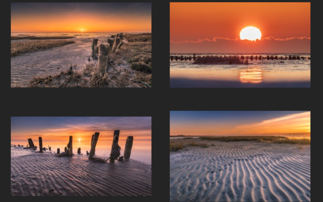 Kvalifikationen i Federation of European Professionel Photographers ( FEP )