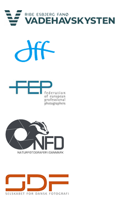 Samarbejdspartner Lars Roed  Photosbyroed<br />
