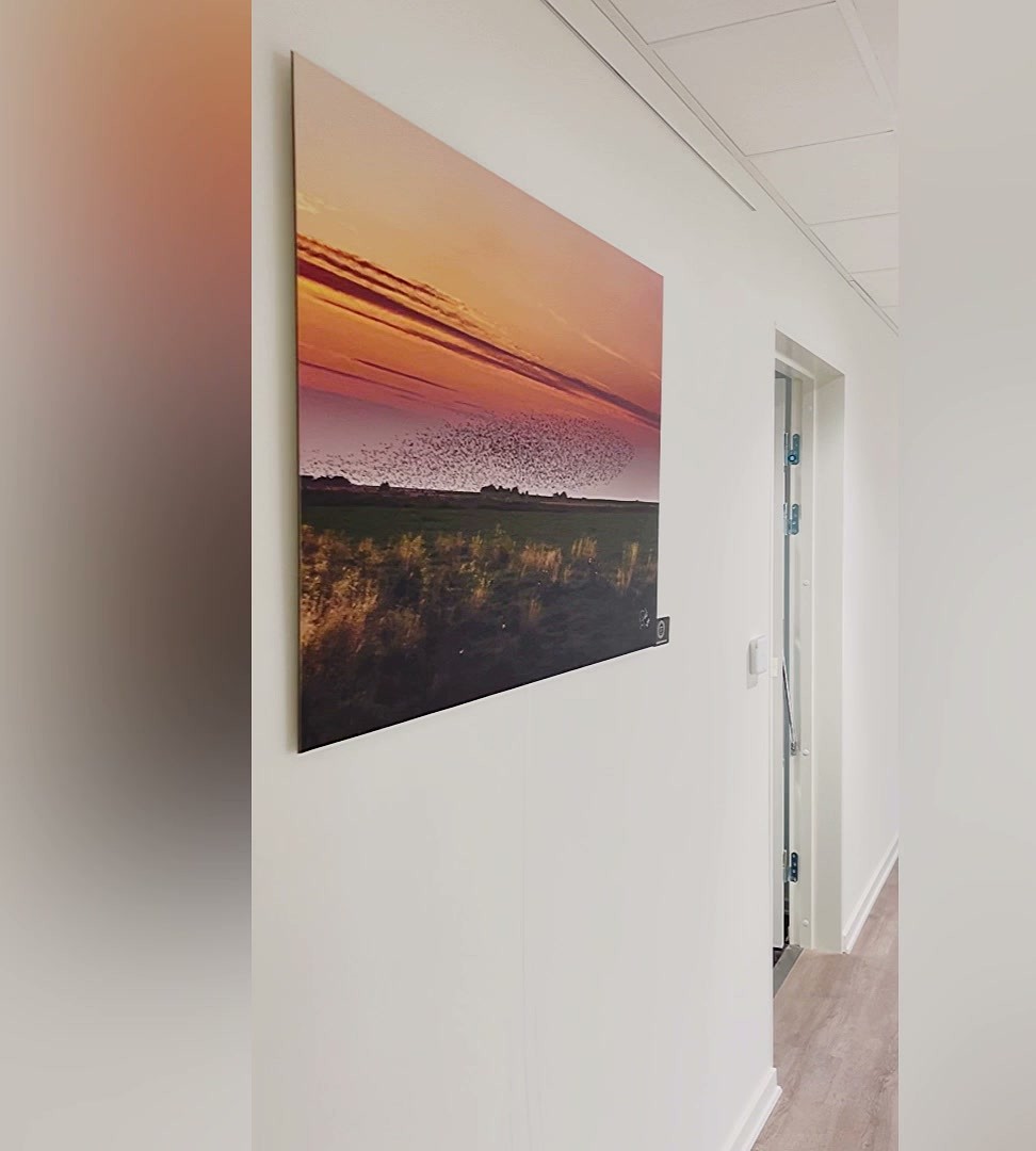 Sort sol over marsken hænger i gangen hos Boligkontoret i Ribe Sort sol over marsken hænger i gangen hos Boligkontoret i Ribe