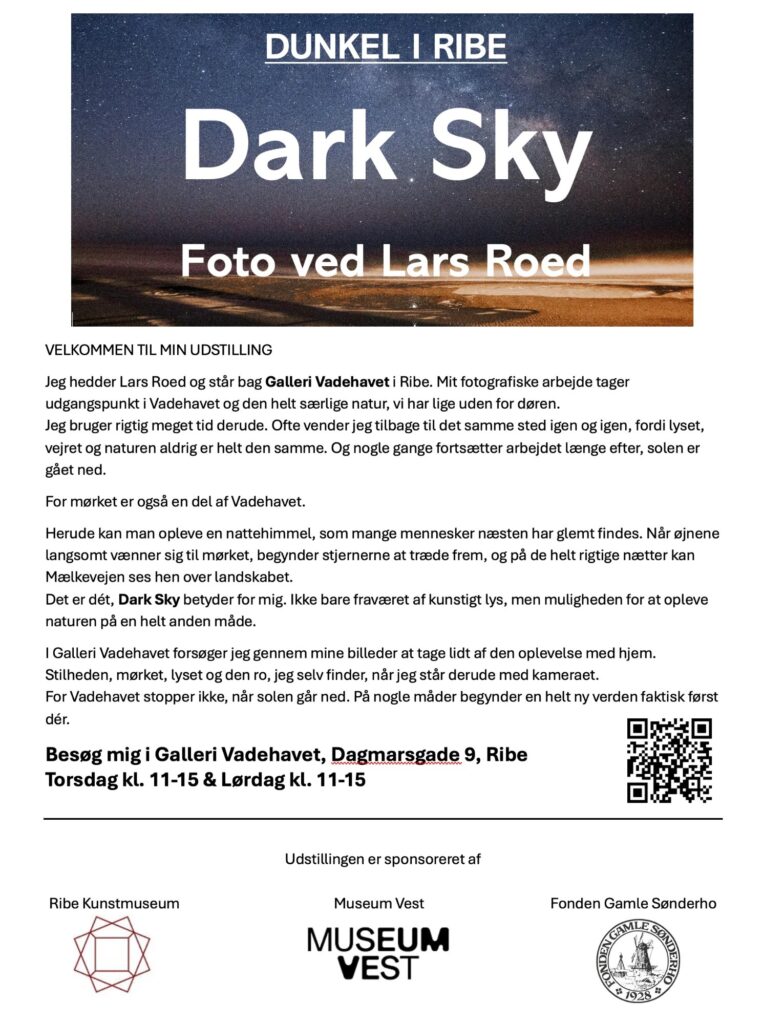 Plakat for den digitale udstilling Dark Sky – foto ved Lars Roed under DUNKEL i Ribe