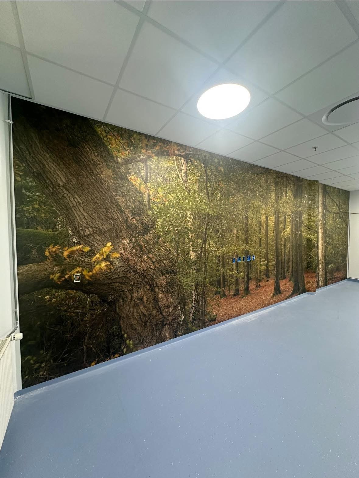 Fototapet af en efterårsskov dækker hele væggen på en sansefødestue på Esbjerg Sygehus Fototapet af en efterårsskov dækker hele væggen på en sansefødestue på Esbjerg Sygehus
