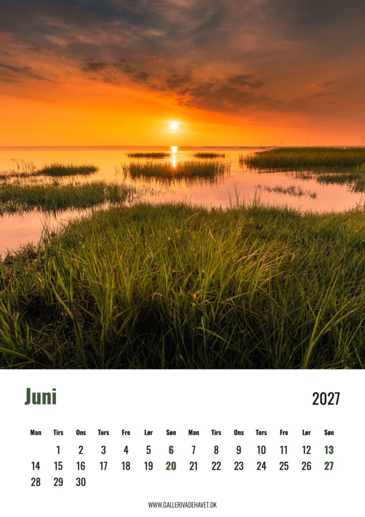 Junisiden i Vadehavskalender 2027