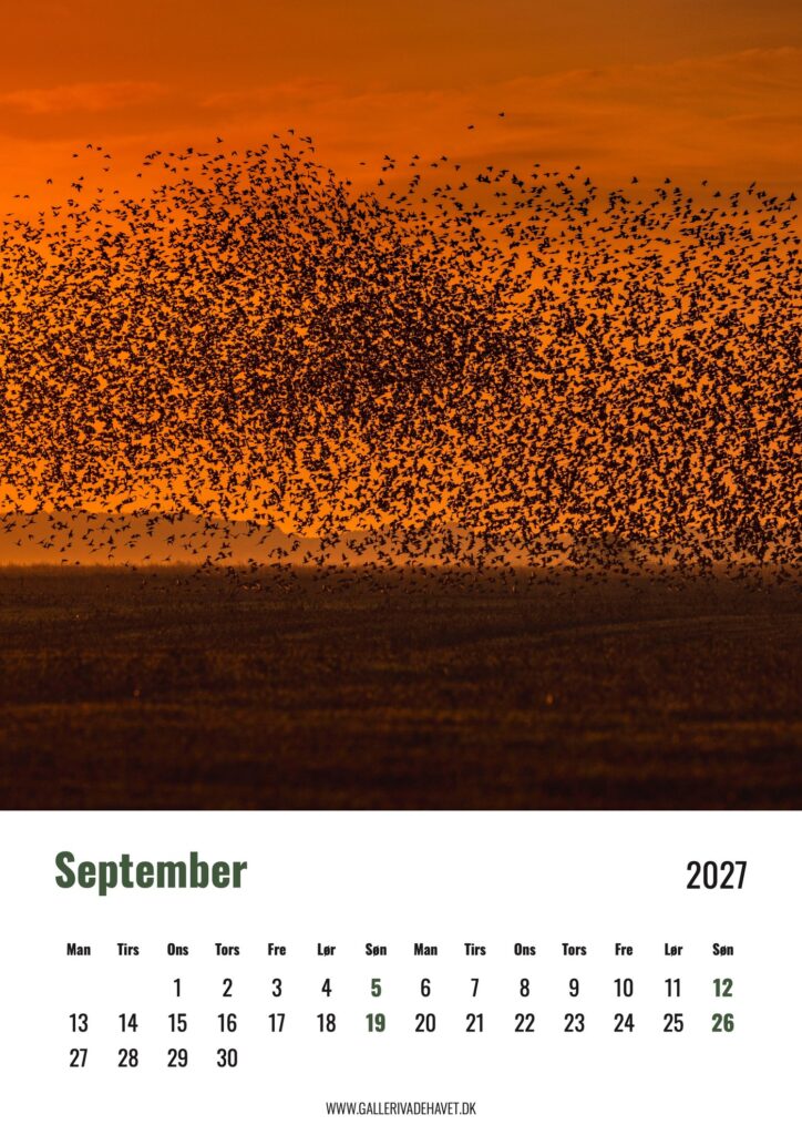 Septembersiden i Vadehavskalender 2027 med Sort Sol