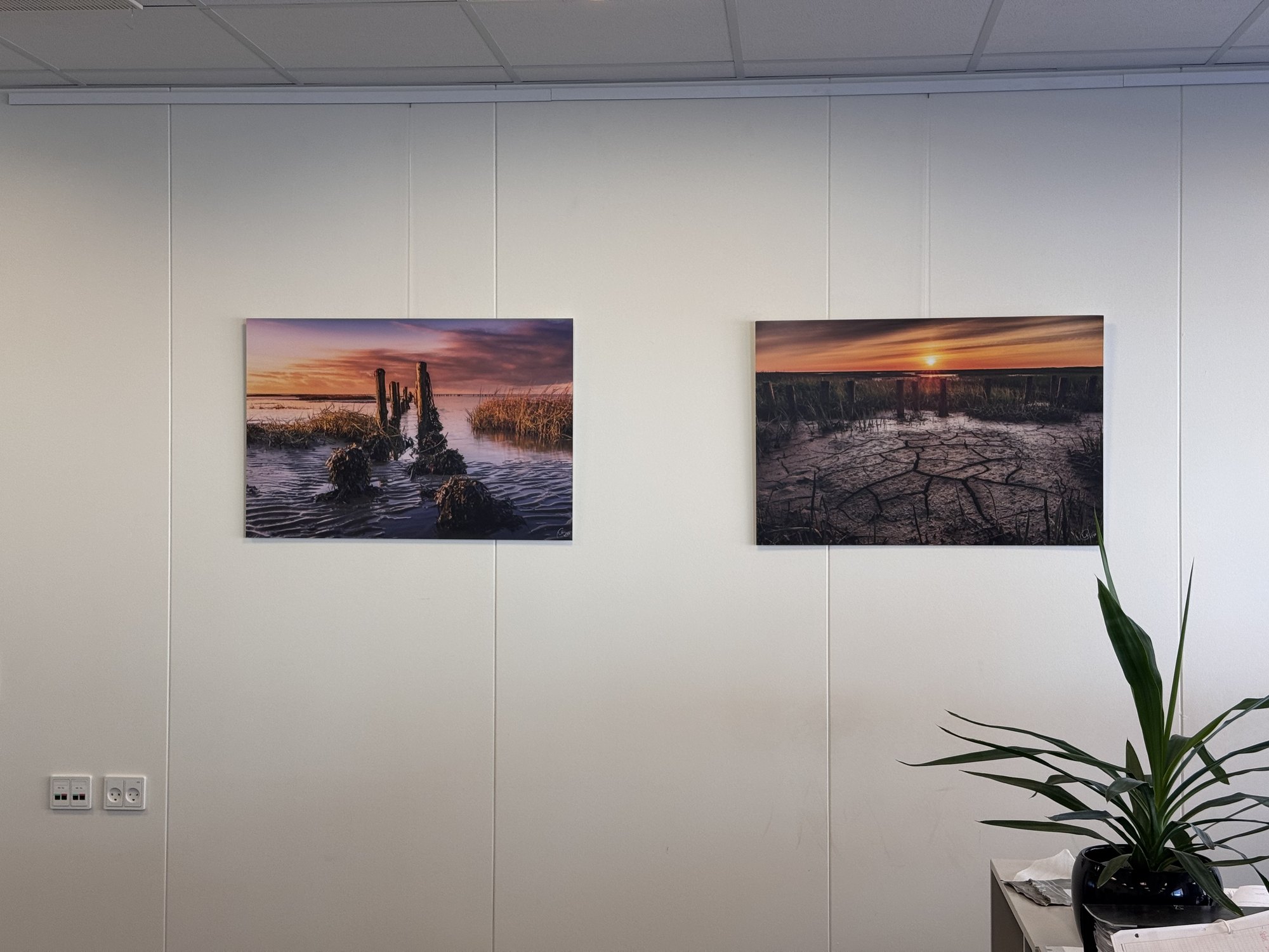 To af Lars Roeds fotografier fra Vadehavet på væggen i Norconsult Danmarks kontor i Esbjerg